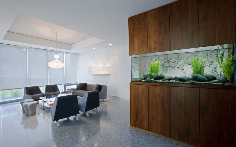 Home Main - Aquarium Architect- Custom Fish Tanks Sydney