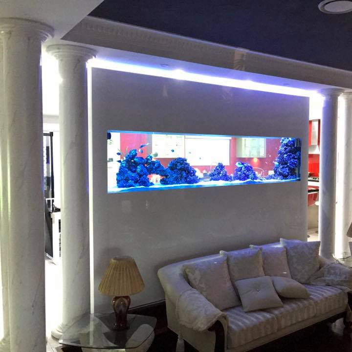 Home Main Aquarium Architect Custom Fish Tanks Sydney