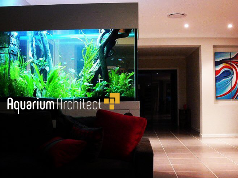 Custom Planted Aquarium - Aquarium Architect- Custom Fish Tanks Sydney